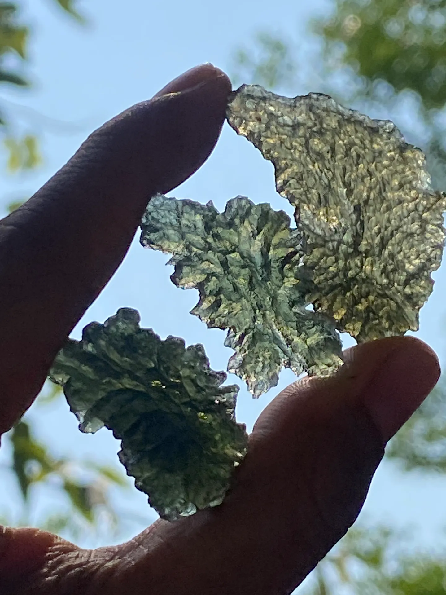 Moldavite สีเขียวในแสงธรรมชาติ