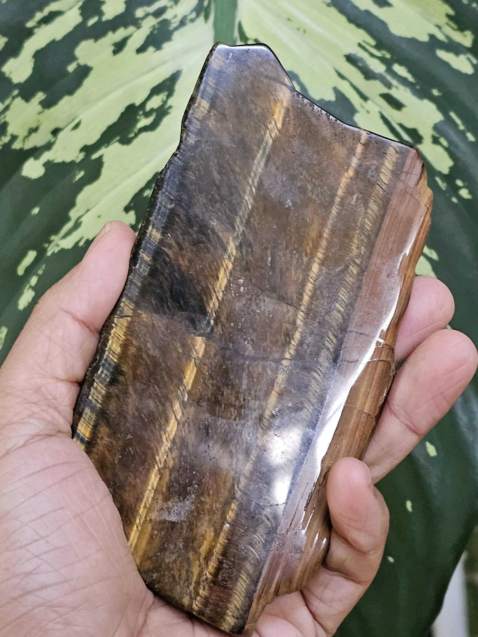 Tiger Eye หินตาเสือโทนน้ำตาลทองในแสงธรรมชาติ